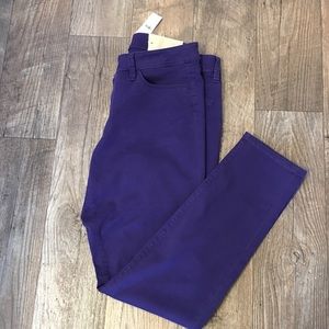 Ann Taylor Loft Curvy Skinny Jean